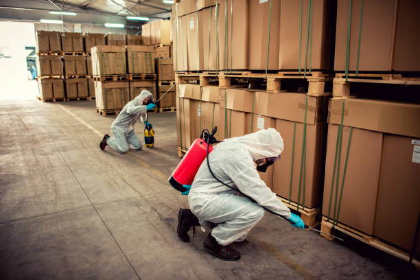 Best Rat Extermination Near Me  in Lake Shore, UT