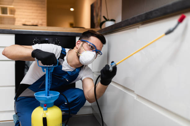Best Best Pest Control Near Me  in Lake Shore, UT