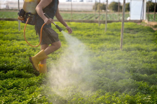 Best Emergency Pest Control  in Lake Shore, UT