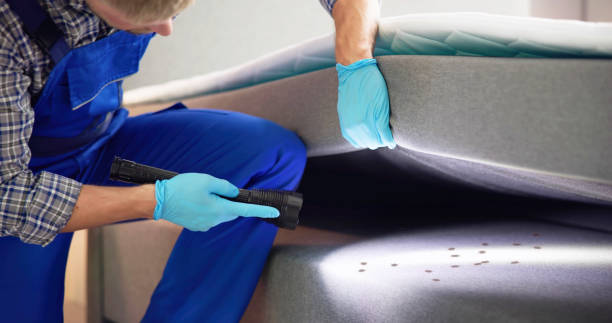 Best Affordable Pest Control Services  in Lake Shore, UT