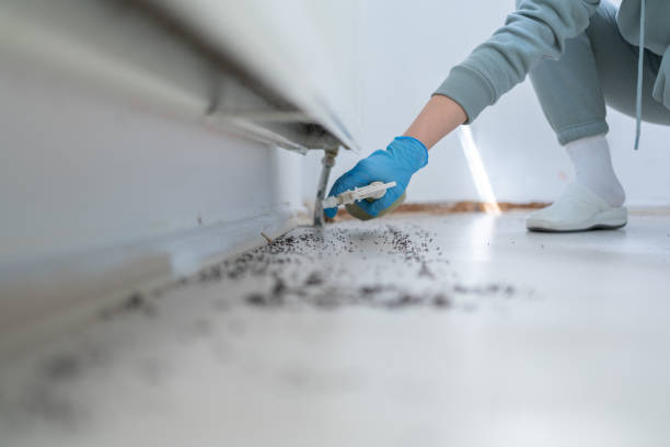 Insect Control in Lake Shore, UT